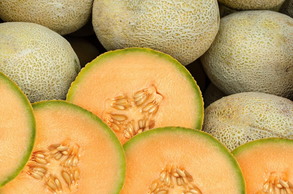 Large Galia Melon